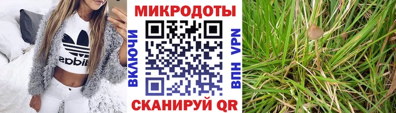 Галлюциногенные грибы Magic Shrooms  Купить закладки  Калач-на-Дону 